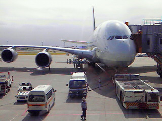 ���t�g�n���U�B