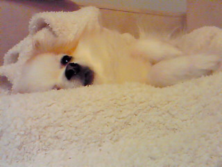 ���|�[�g�撣�蒆�B