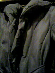 �����ďՓ������I�H