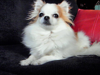 Christmas��Newyear��