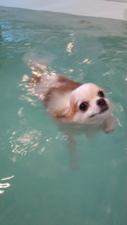 �撣���Ă܂��I