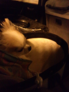 �����E�o(>_<)