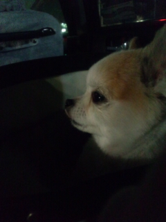 ����ɖ߂�܂����B