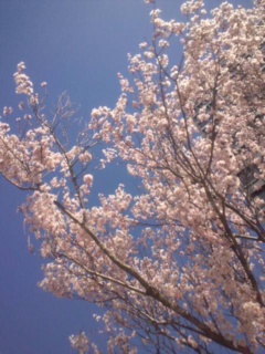 ���E�E�E��