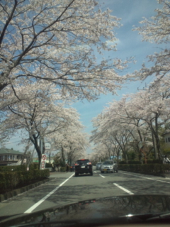 �h���C�u��