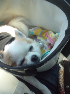 ���l�ցc��