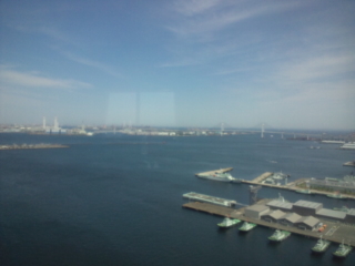 �r�����u�������D