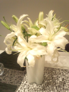 �_�C�j���O�ց�