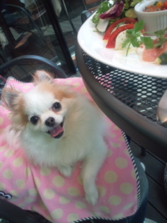 ��������������������������