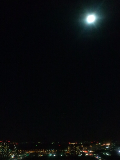 �Y��Ȗ�i��