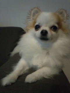 ������������