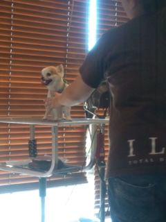 �T�}�[�J�b�g����