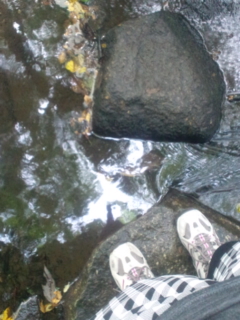 �f�r���[��