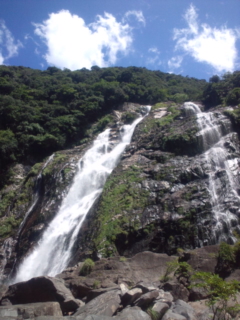 ���h���C�u��