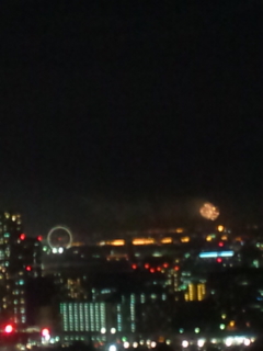 �f�B�Y�j�[�̉ԉ΁�