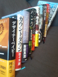 �Ǐ��O���B