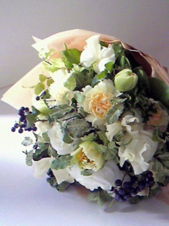 �����L�O���B