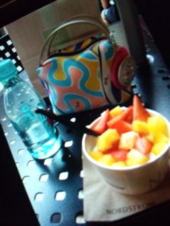 ���������̓r���B