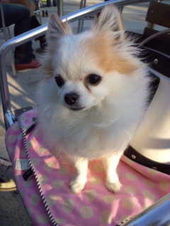 ���o�|����