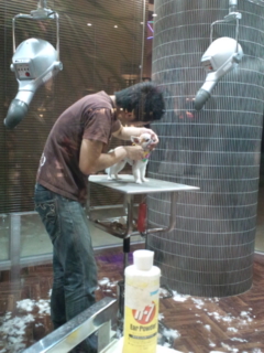 �g���~���O�I*^o^*