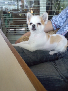 �e���X�����`��