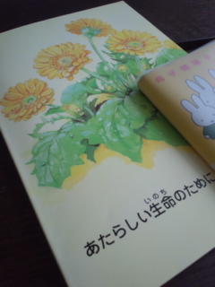 ���e�w���ցB