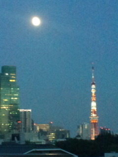 �悤�₭�E�E�E�B