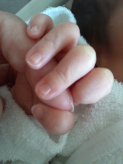 �玙������