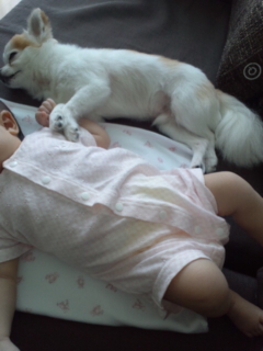 �Ȃ��悵��*^o^*