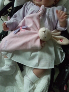 ���{�Q��ցB