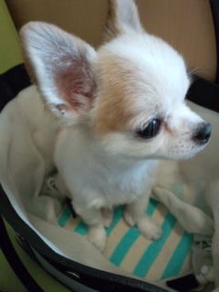 ���l�̂��B