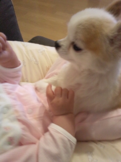 �X�L���V�b�v��