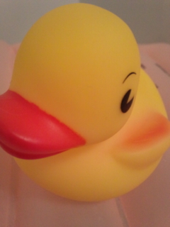 �����C�̂����B