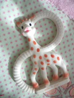 �\�t�B�[������