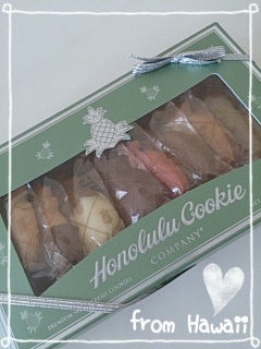 ��������������񂩂��