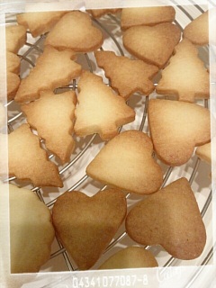 �N�b�L�[�����