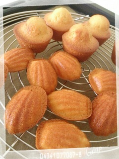 �Y��ɏĂ��܂�����