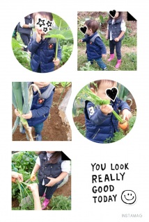 �H�̎��n�B