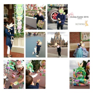 �C�[�X�^�[�B