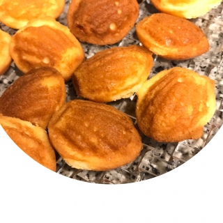 �Ȃ₷�� ��Q�e�B